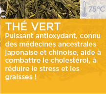 Les couleurs du thé : le thé vert Colors of Tea