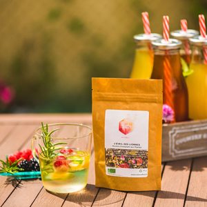 thé glacé L'eveil des lionnes rooibos Colors of Tea