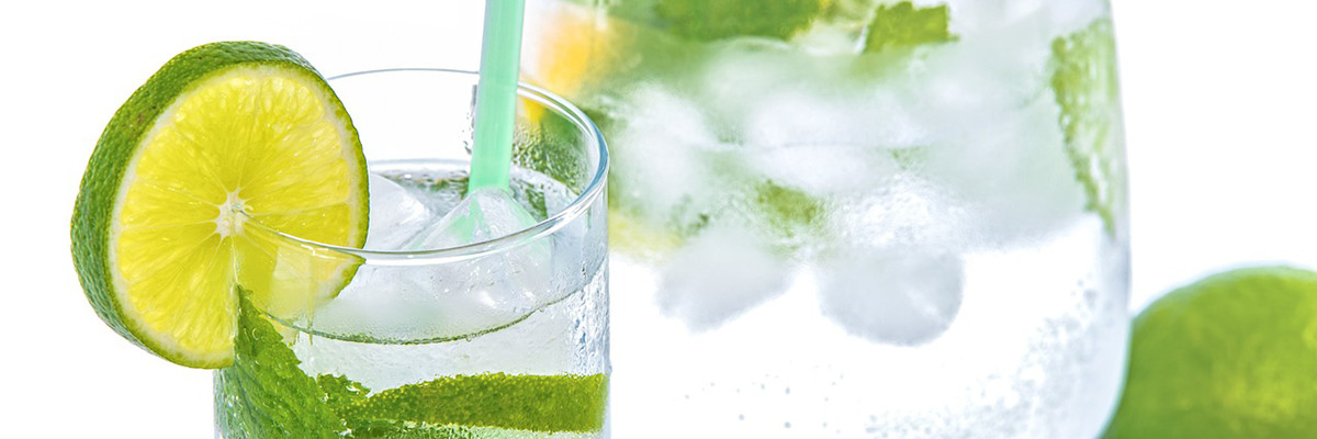 Thé glacé citron et menthe Colors of Tea