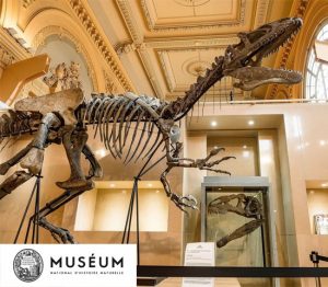 Muséum d'histoire Naturelle