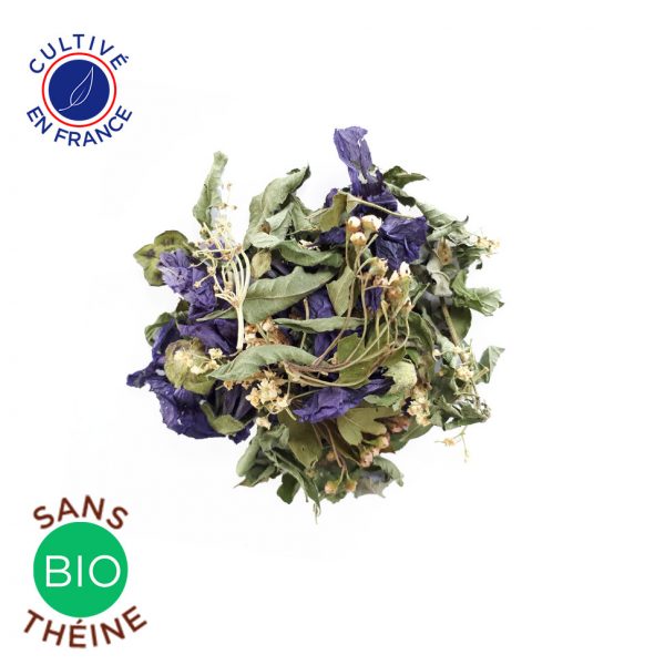 Tisnae Nuit Magique des Jardins de la Fortune pour Colors of Tea