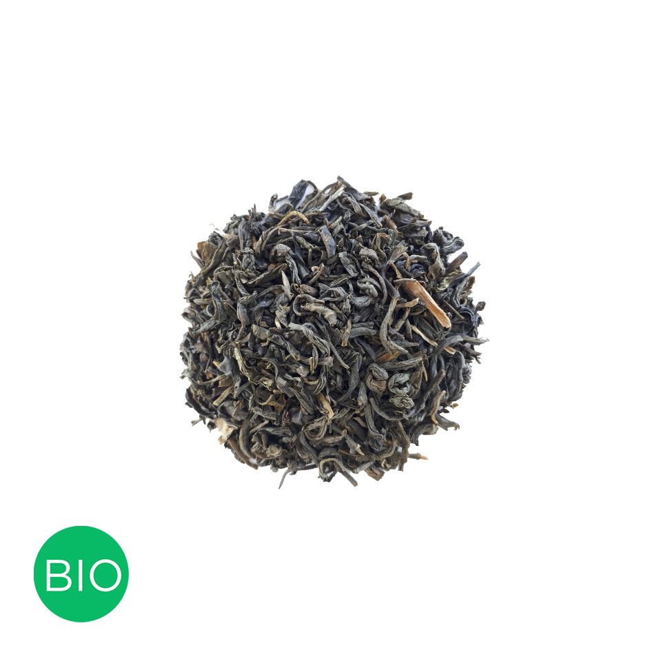 fleur de jasmin fleur de jasmin