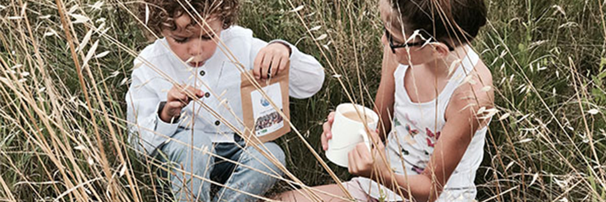 Article quel thé ou tisane pour mon enfant by colors of tea