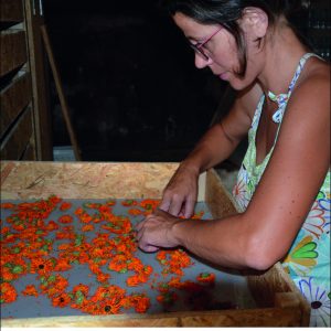 Les Jardins de la Fortune, une interview pour Colors of Tea