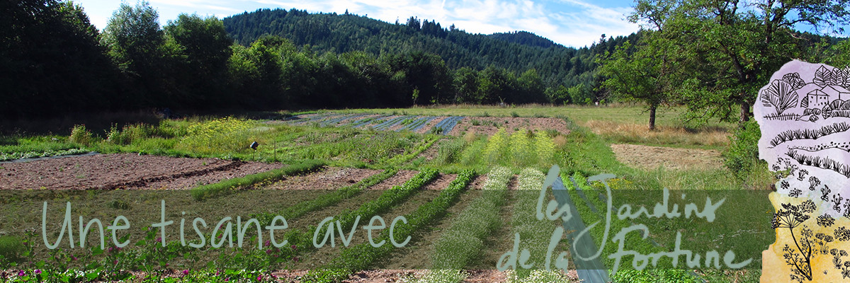 Les Jardins de la Fortune, une interview pour Colors of Tea