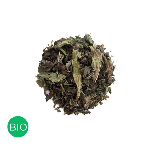 Thé Vert Menthe Marrakech Colors of Tea