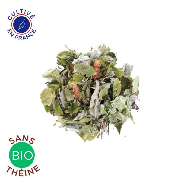 Tisane Montagnarde Colors of Tea