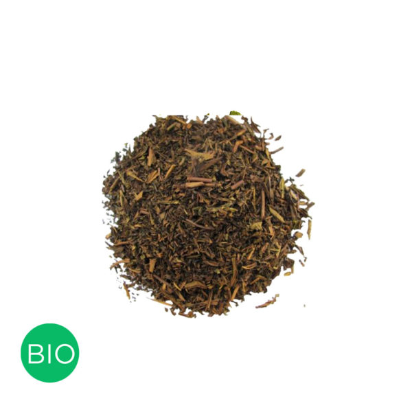 hojicha