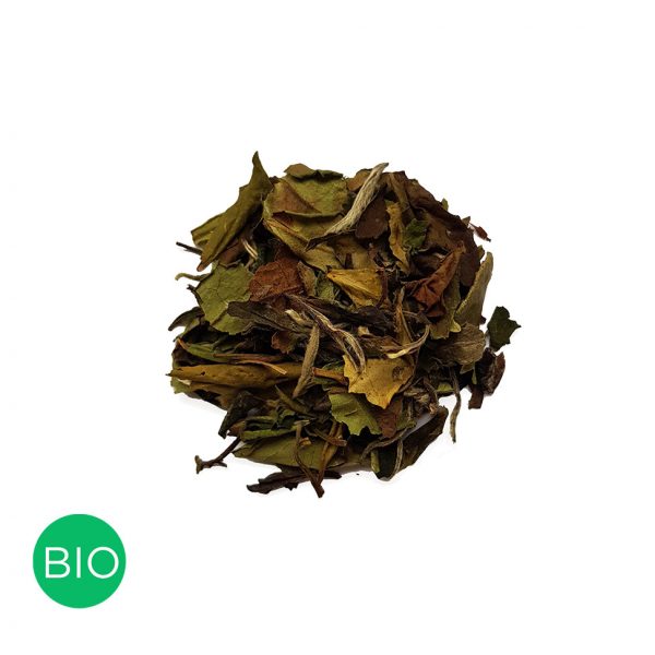 Pai Mu tan, hé blanc colors of tea