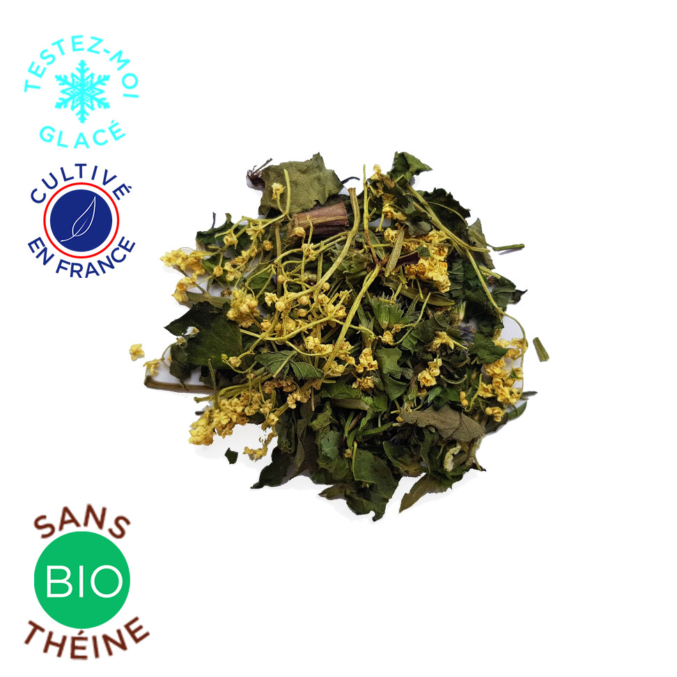 l’estivale l'estivale