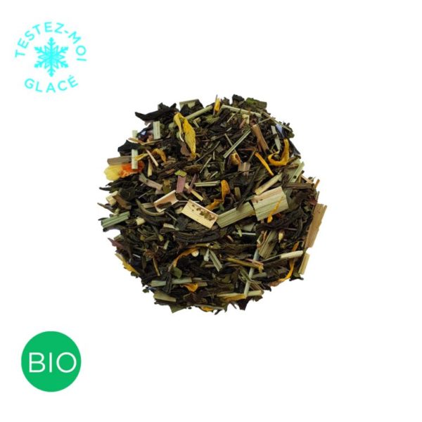 Mangue pas d'air thé vert glacé Colors of tea