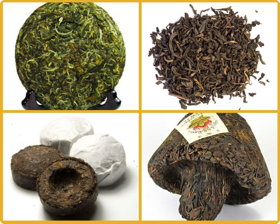 les différentes formes du Pu erh par Colors of Tea