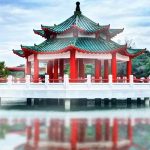 Article sur le Pu Erh par Colors of Tea