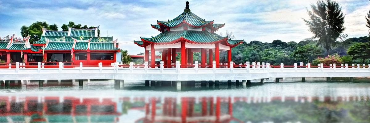 Article sur le Pu Erh par Colors of Tea