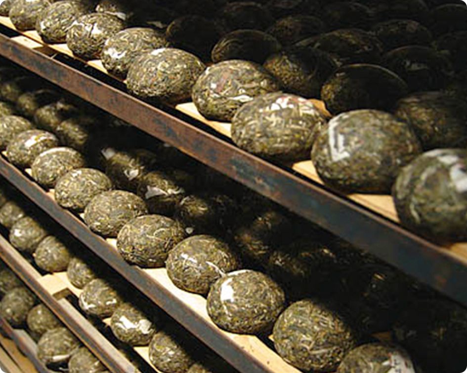 fermentation du pu erh par Colors of Tea