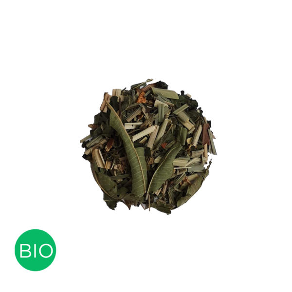 energy bomb maté colors of tea