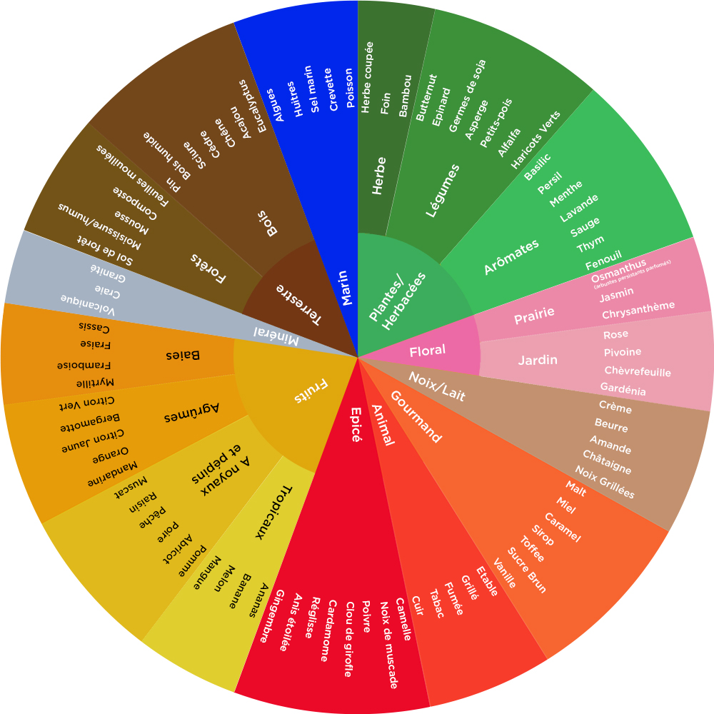 Roues des arômes Colors of Tea